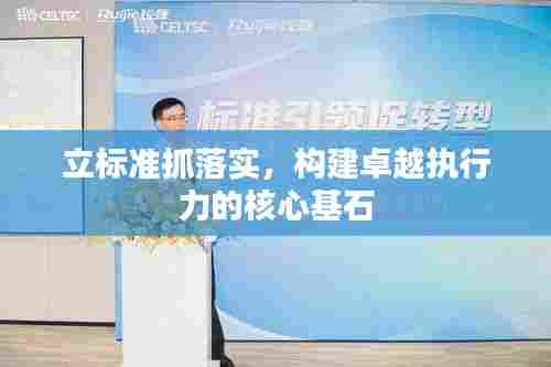 立标准抓落实，构建卓越执行力的核心基石