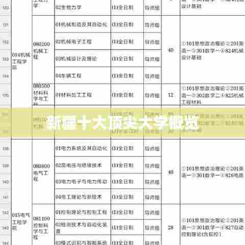 新疆十大顶尖大学概览