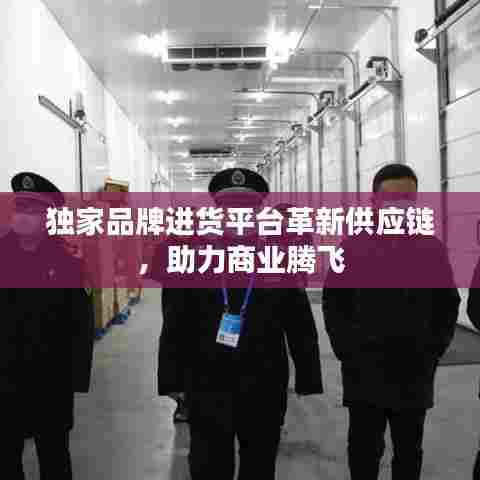 独家品牌进货平台革新供应链，助力商业腾飞