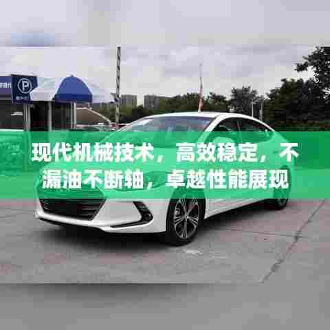现代机械技术，高效稳定，不漏油不断轴，卓越性能展现