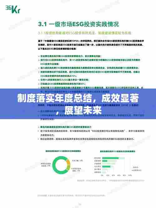 制度落实年度总结，成效显著，展望未来