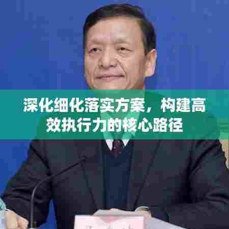 深化细化落实方案，构建高效执行力的核心路径