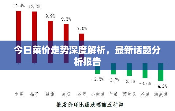 今日菜价走势深度解析，最新话题分析报告