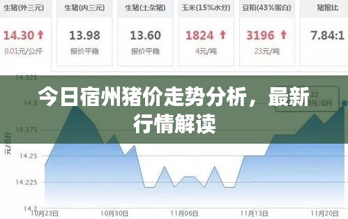 今日宿州猪价走势分析，最新行情解读