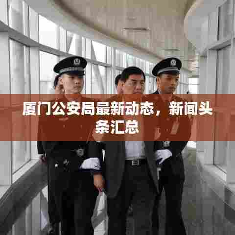 厦门公安局最新动态，新闻头条汇总