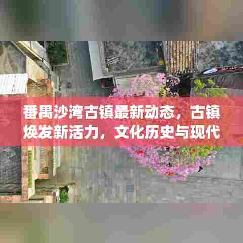 番禺沙湾古镇最新动态，古镇焕发新活力，文化历史与现代气息交融