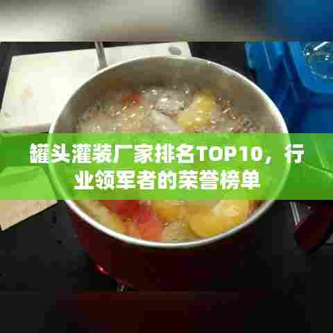 罐头灌装厂家排名TOP10，行业领军者的荣誉榜单