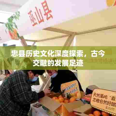 忠县历史文化深度探索，古今交融的发展足迹