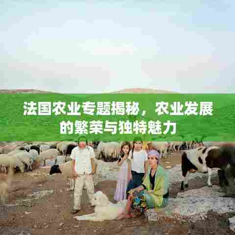 法国农业专题揭秘，农业发展的繁荣与独特魅力