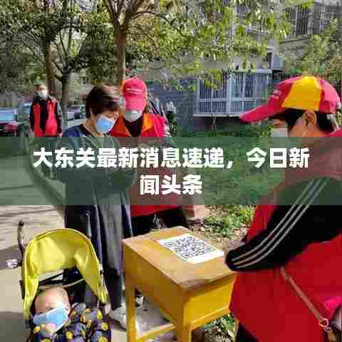 大东关最新消息速递，今日新闻头条