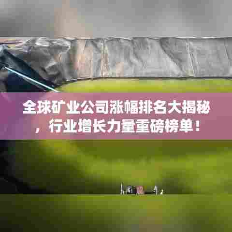 全球矿业公司涨幅排名大揭秘，行业增长力量重磅榜单！