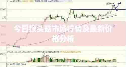今日猴头菇市场行情及最新价格分析