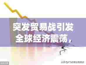 突发贸易战引发全球经济震荡，挑战与应对策略