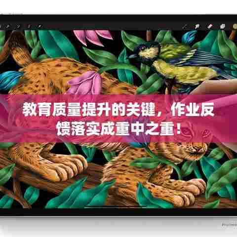 教育质量提升的关键，作业反馈落实成重中之重！