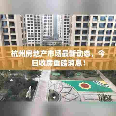 杭州房地产市场最新动态，今日收房重磅消息！