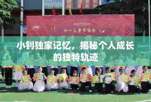 小钊独家记忆，揭秘个人成长的独特轨迹