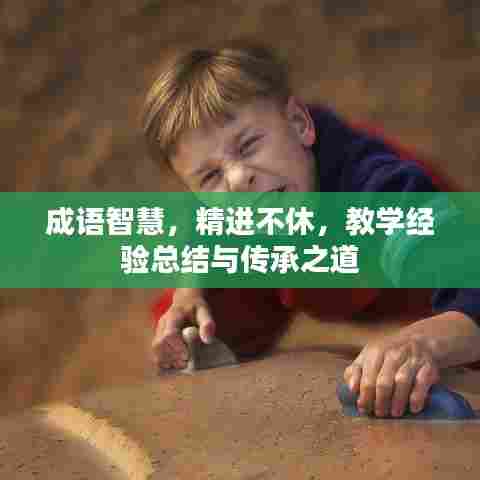 成语智慧，精进不休，教学经验总结与传承之道