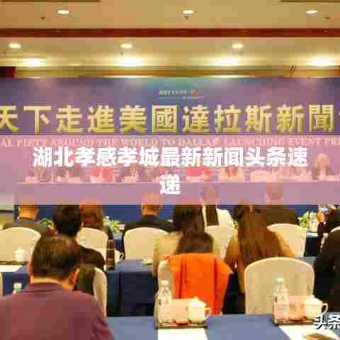 湖北孝感孝城最新新闻头条速递