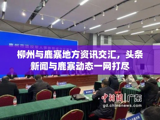 柳州与鹿寨地方资讯交汇，头条新闻与鹿寨动态一网打尽