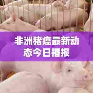 非洲猪瘟最新动态今日播报