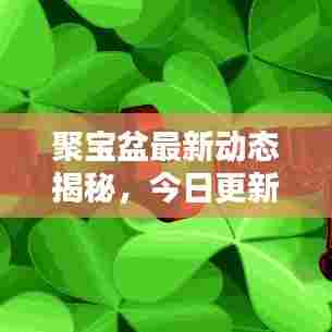 聚宝盆最新动态揭秘，今日更新消息抢先看！