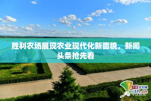 胜利农场展现农业现代化新面貌，新闻头条抢先看