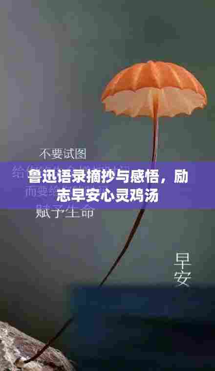 鲁迅语录摘抄与感悟，励志早安心灵鸡汤