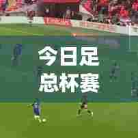 今日足总杯赛事预测，谁能夺冠？最新情报大揭秘！