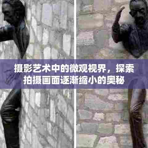摄影艺术中的微观视界，探索拍摄画面逐渐缩小的奥秘