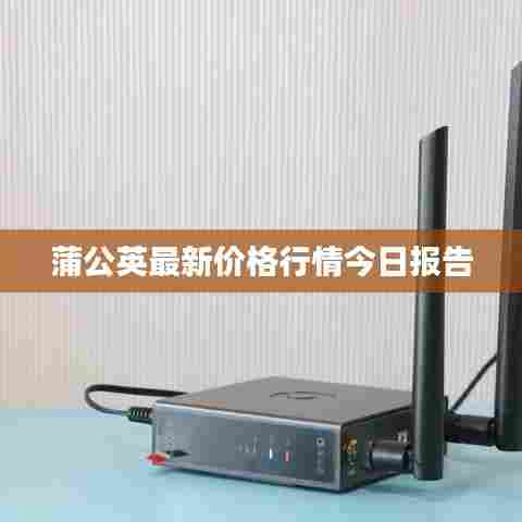 一石二鸟 第6页