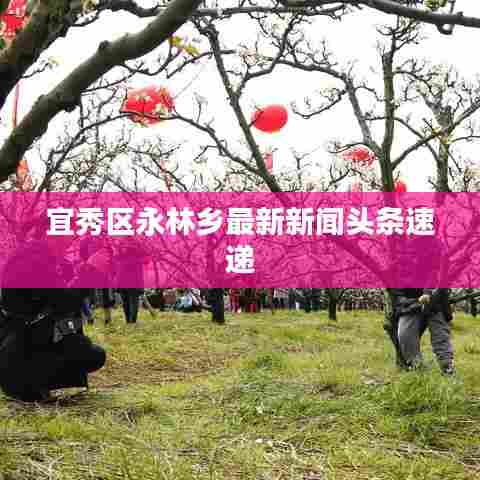 宜秀区永林乡最新新闻头条速递