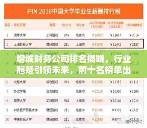 增城财务公司排名揭晓，行业翘楚引领未来，前十名榜单出炉！
