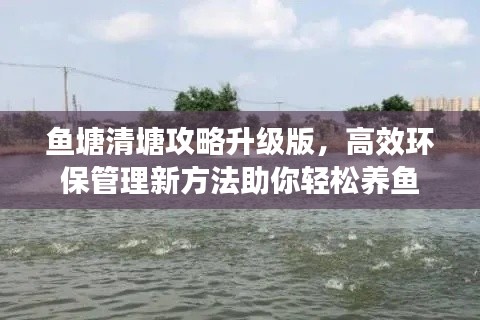鱼塘清塘攻略升级版，高效环保管理新方法助你轻松养鱼