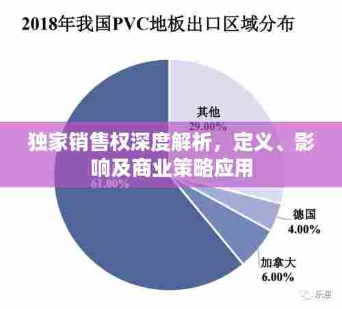 独家销售权深度解析，定义、影响及商业策略应用