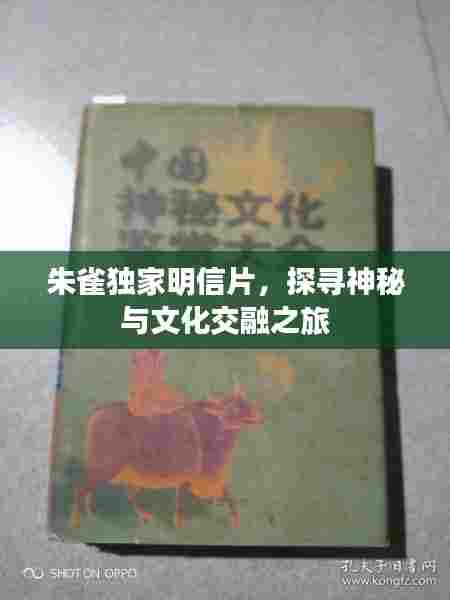 朱雀独家明信片，探寻神秘与文化交融之旅