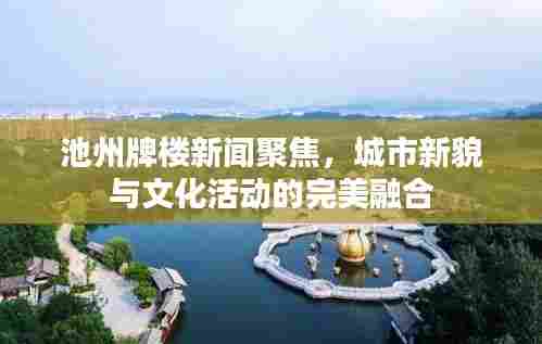 池州牌楼新闻聚焦，城市新貌与文化活动的完美融合