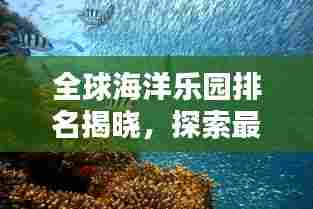 全球海洋乐园排名揭晓，探索最受欢迎的海底世界主题公园！