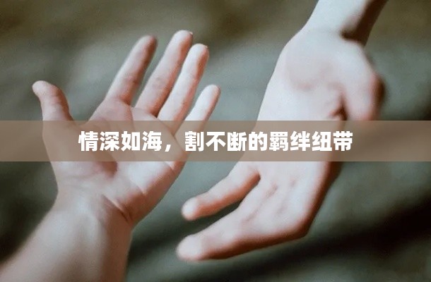 情深如海，割不断的羁绊纽带