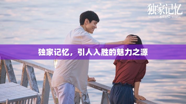 独家记忆，引人入胜的魅力之源