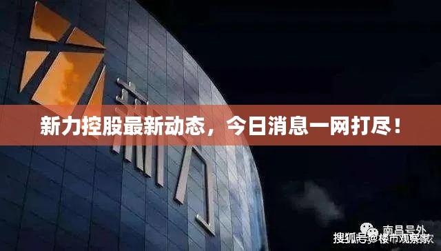 新力控股最新动态，今日消息一网打尽！