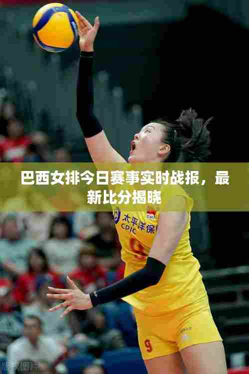 巴西女排今日赛事实时战报，最新比分揭晓