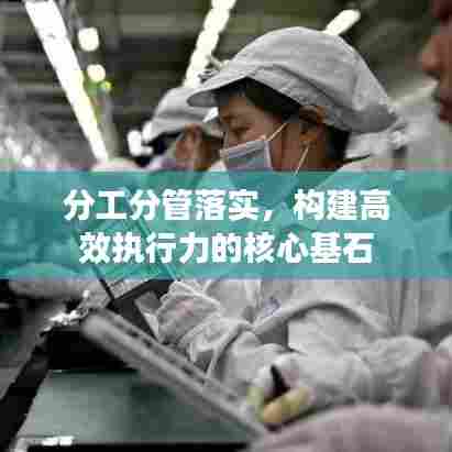 分工分管落实，构建高效执行力的核心基石