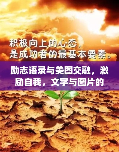 励志语录与美图交融，激励自我，文字与图片的碰撞产生力量