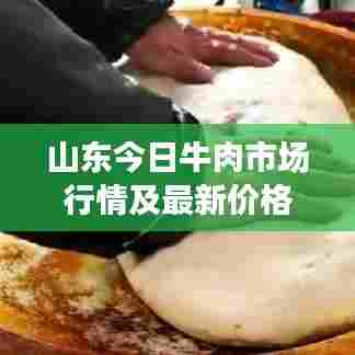 山东今日牛肉市场行情及最新价格动态揭秘