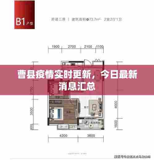 曹县疫情实时更新，今日最新消息汇总