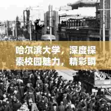 哈尔滨大学，深度探索校园魅力，精彩瞬间一网打尽！