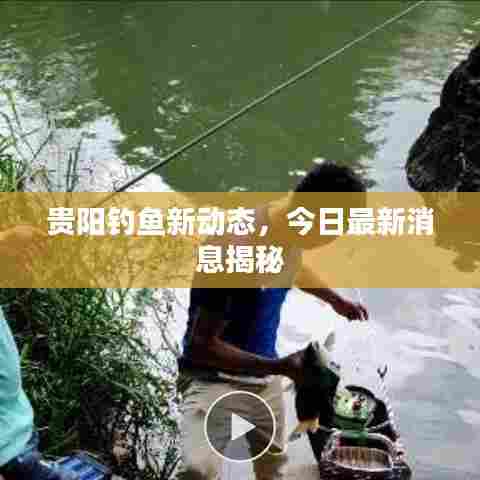 贵阳钓鱼新动态，今日最新消息揭秘