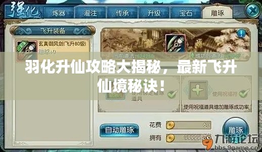 羽化升仙攻略大揭秘，最新飞升仙境秘诀！