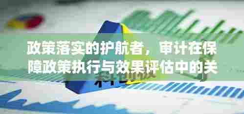 政策落实的护航者，审计在保障政策执行与效果评估中的关键作用