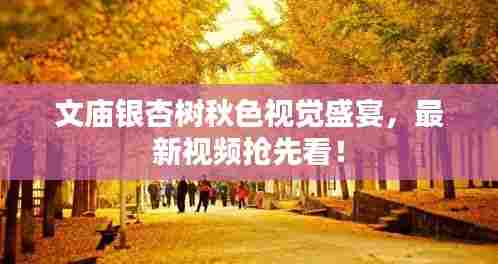 文庙银杏树秋色视觉盛宴，最新视频抢先看！